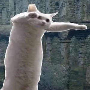 Meet your Posher, Keyla